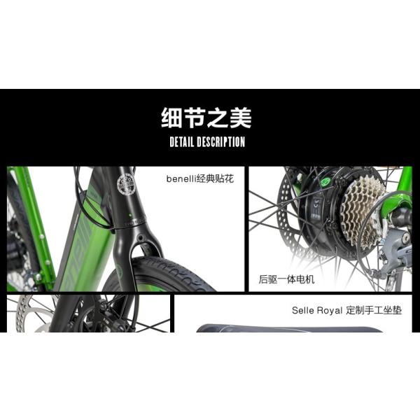 CE Certified 200W Power Electric Bicycle with 700C Wheels and Single Speed Freewheel