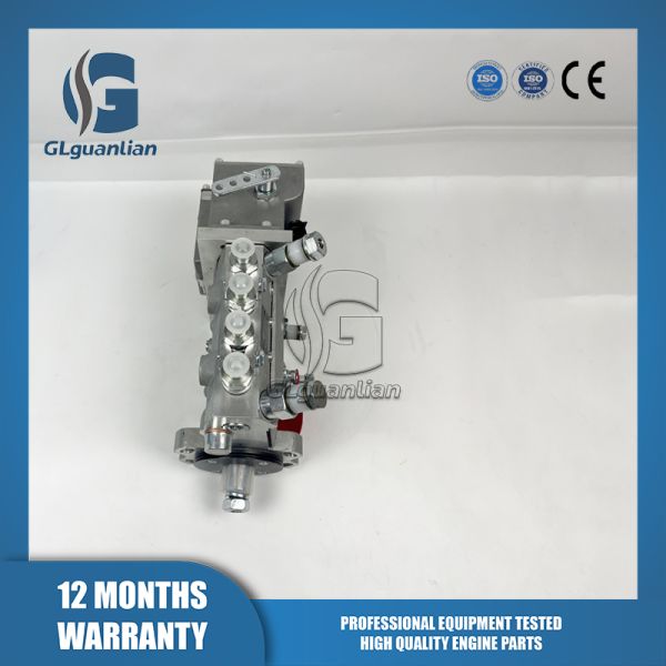 New Fuel Injection Pump 5262669 10401014099 Cpes4a95D320 3RS2161 for Cum-mins Engine 4bt 4BTA3.9-G2