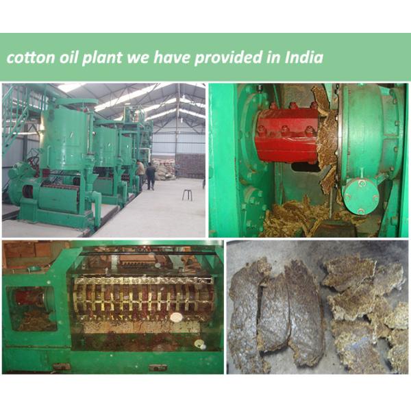 Screw Oil Expeller for Oil Seeds Sunflower Oil Machine South Africa Vegetable Oil Extraction Machines Cotton Seed Oil Press Machine Germany
