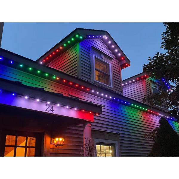 Постоянное СИД праздника указывает светлый 20mm водоустойчивый свет 1903/2904 праздника рождества IC