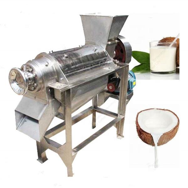 Machine de fabrication de jus de fruits de haute qualité pour le commerce Machine d'extraction de jus industrielle