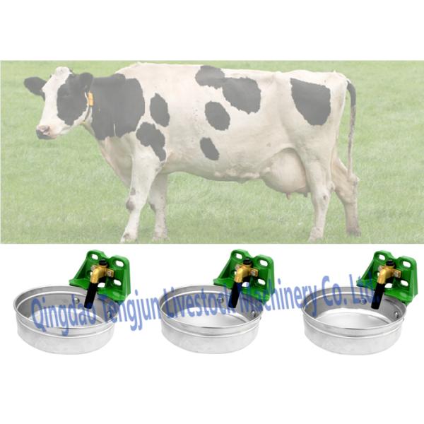 Auto Drinking Bowls For Cattle Flat Stainless Steel Large Capacity