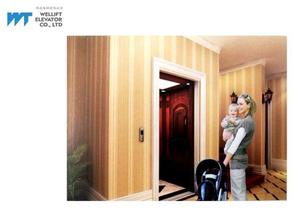 Max Travel 12M Residential Elevator Lift , LED Energy Saving Lighting House Lifts