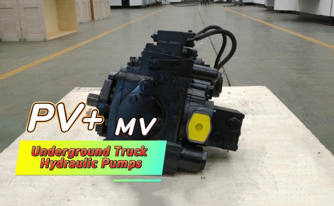 PV22+MV23 Литые железные корпуса подземные грузовики гидравлические насосы PV22 MV23