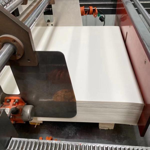 O PE descartável das matérias primas 210gsm do copo de papel revestiu o papel na folha