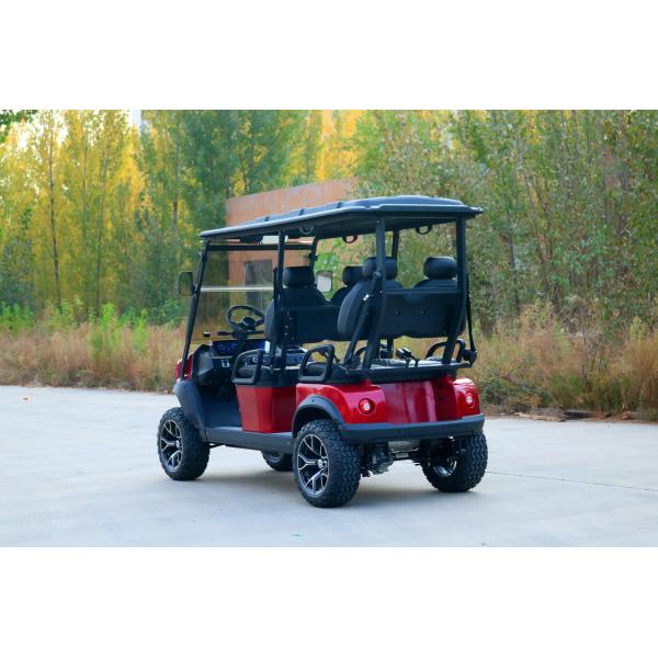 Un seul siège électrique entièrement personnalisable Rario Golf Cart Vintage 8 places