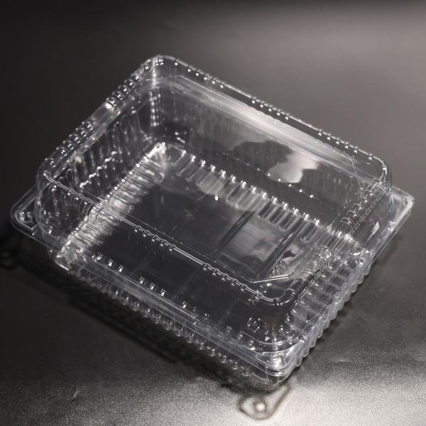 Custom Capacity Rectangular Plastic Food Box PET Disposable Food Packaging Box