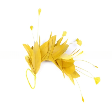 FEDEX Expédition pour les fournitures de moulins à moulins Plume d'oie Dépouillée Mont de fleurs