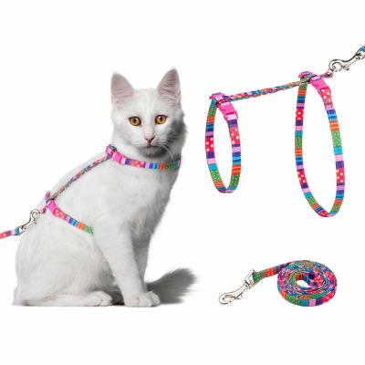 Cat Harness com grupo da trela - correia macia ajustável com projeto da forma