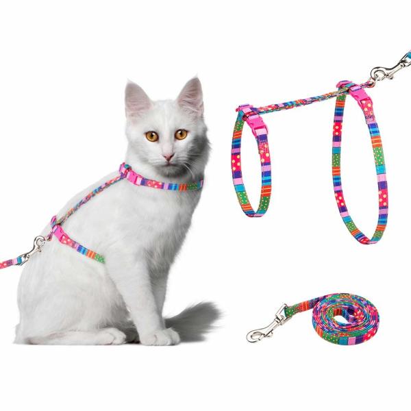 Cat Harness com grupo da trela - correia macia ajustável com projeto da forma