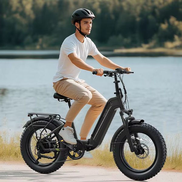 Yeestep 48V 25km/h Foldable Electric Bike Fatbike Electric Folding Bike with 15Ah Battery 250W Light Steel Frame Electric Cycle