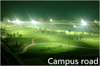 Снабжение жилищем света потока СИД сада 200 в алюминиевое, 2 лет гарантии