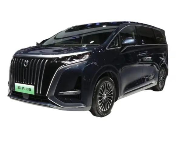 Denza D9 2023 Carros elétricos de ponta com assentos de couro 150Mph