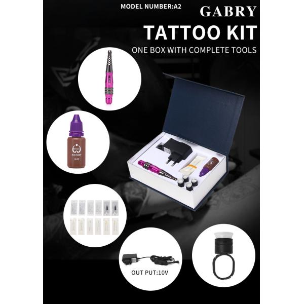 Babry Permanent Makeup Tattoo Machine Kit for Eyebrows Eyeliner Lips Tattoo Factory OEM