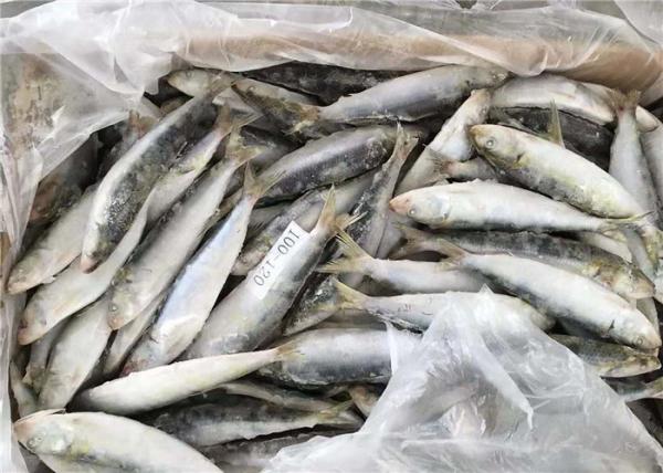 100g Frozen Whole Sardines