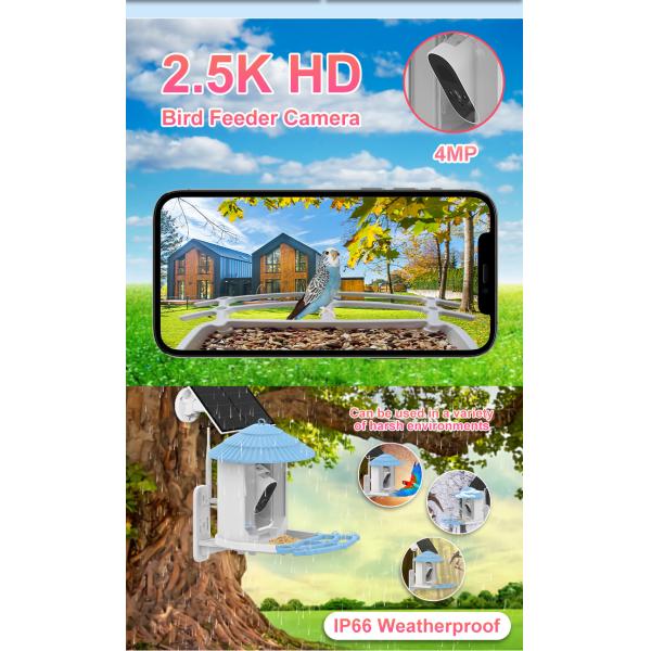 IP66 impermeable 4MP Smart Bird Feeder 2.5L Vida silvestre cámara inteligente para pájaros