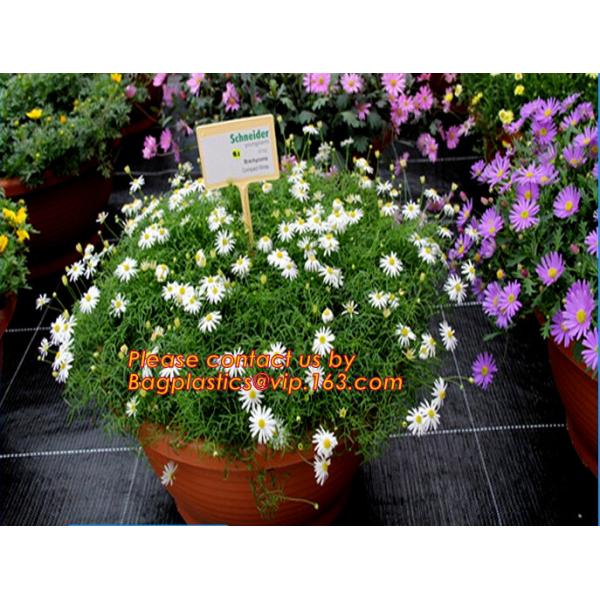 Garden tomato green house greenhouse film 3 layer eva agriculture clear plastic protective 90% transmission green house,