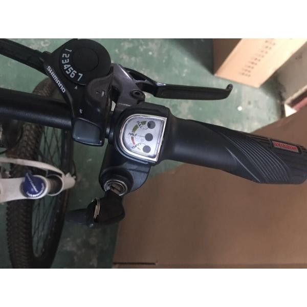 Western Style 36v 250 Watt Electric Powered Mountain Bike