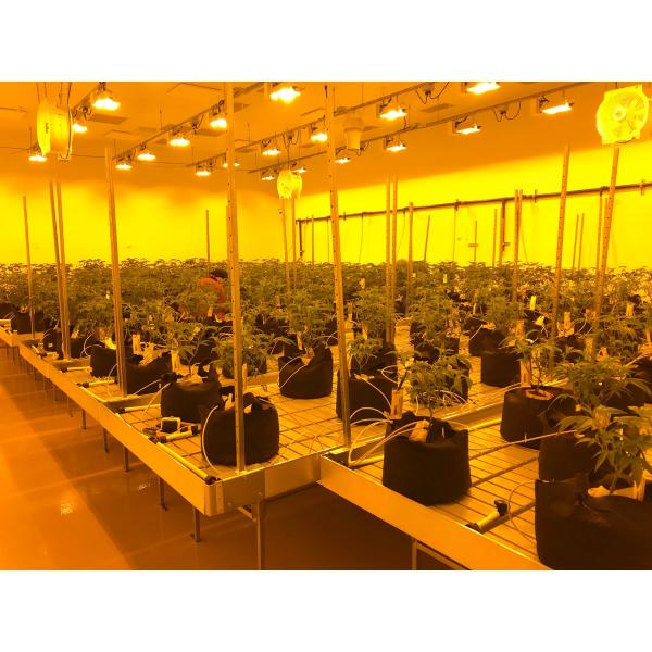 Structure galvanisée moderne Résistance au vent de serre