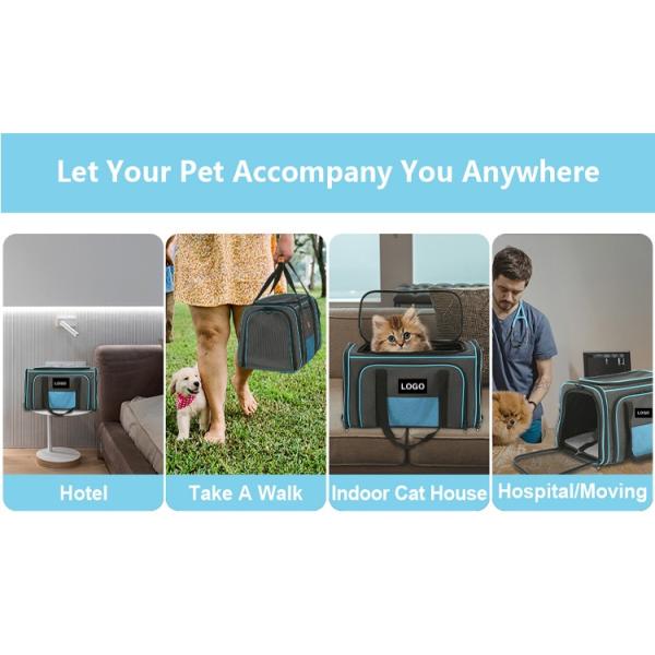 Bolsa para gatos de 20.2*12.5*12 pulgadas para salir, suministros para mascotas muy duraderos y bonitos, no tóxicos, duraderos y lavables. El paquete incluye 1 X Suministros para mascotas Rosa/Azul/Verde