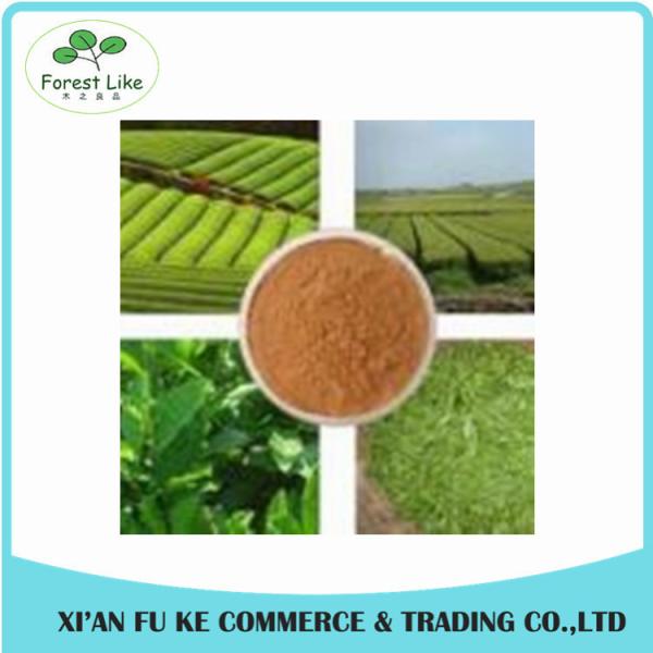 Natural Herbal Oolong Tea Extract Powder 10:1 20:1
