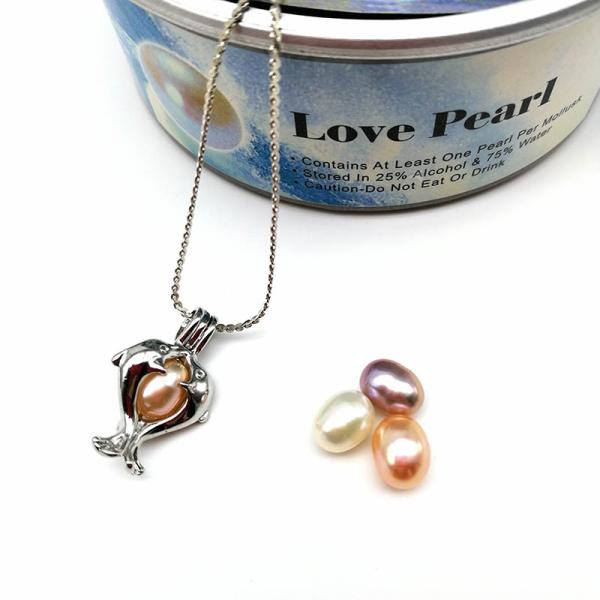 Pearl Cage Locket Findings Cage Pendant For Oyster Pearl Girl Women Gits Dropshipping
