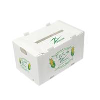 Caixas de plástico Caixa de plástico corrugado de PP para vegetais e frutas