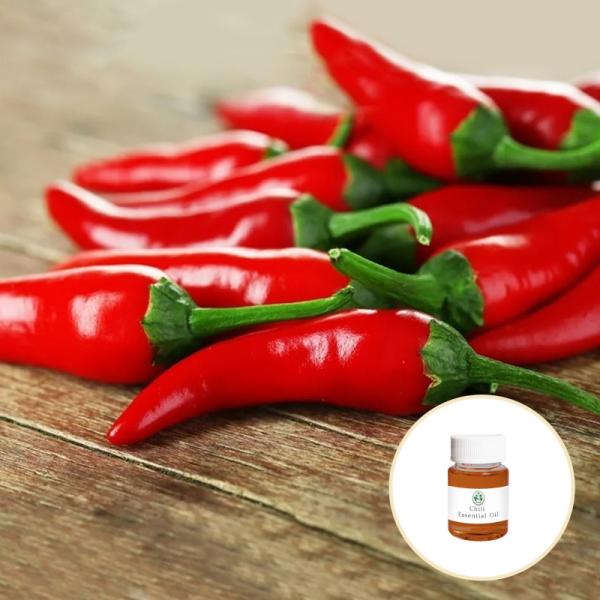 Skincare 100 Pure Chili Pepper Essential Oil CAS 68991-42-4