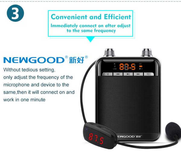 FM Professional headset wireless headset microphone for Tour Guides, Teachers, Coaches, Presentations, Costumes
