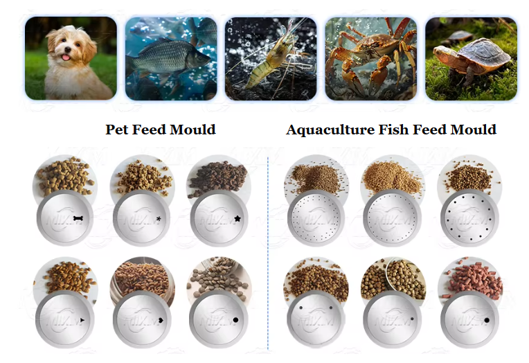 New Automatic Stainless Steel Double Screw Extruder Machine High Productivity Floating Fish Feed Pelletizer sinking shrimp feed for Fish Food