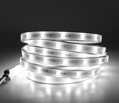 Diodo emissor de luz de néon Flex Strip DMX SPI 15W/M verificável endereçável do pixel dinâmico