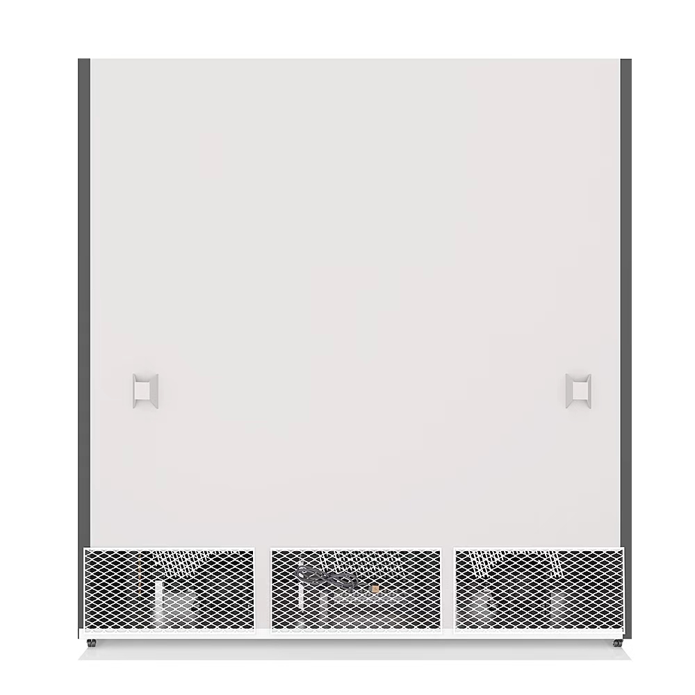 Luxurious Bottom Display Glass Door Freezer R290a Three Layer Hollow 950L