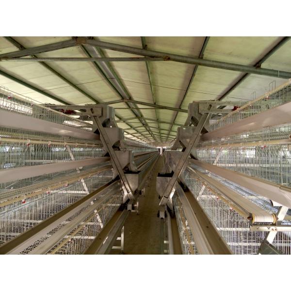 Клетка птицы птицы 3 цыплят яруса 180 для большой птицефермы