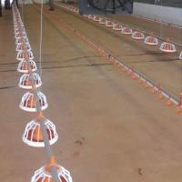 Système d'alimentation automatique de volaille de solides solubles pour la couche d'éleveur de poulets de chair de poulet