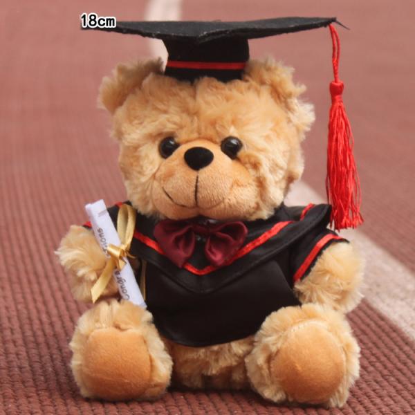 Doctor Graduation Plush Teddy Bear For Graduation Celebration 30cm