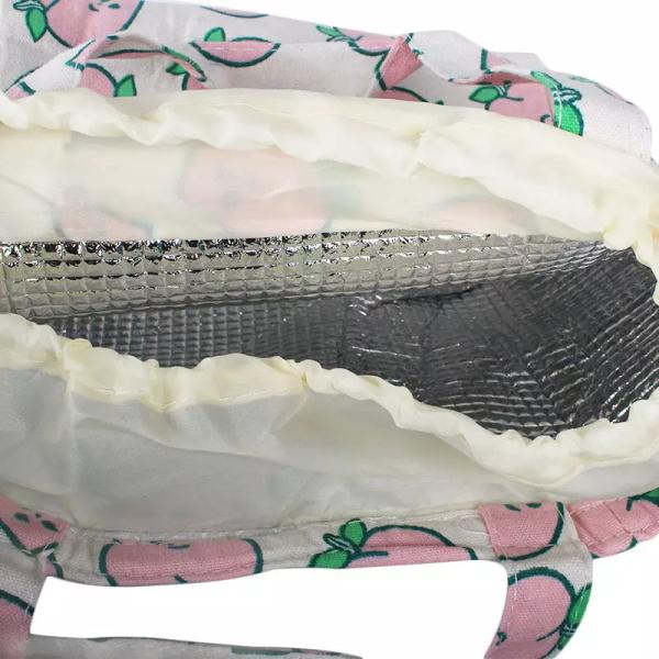 Сгущенная изолированная сумка обеда