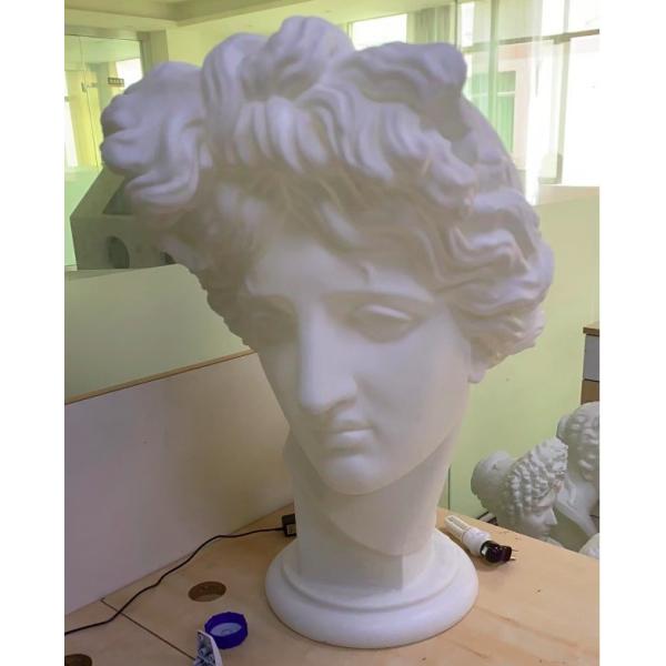 Professional 3D Printing Service for Customized ABS TPU Nylon Resin Metal Models