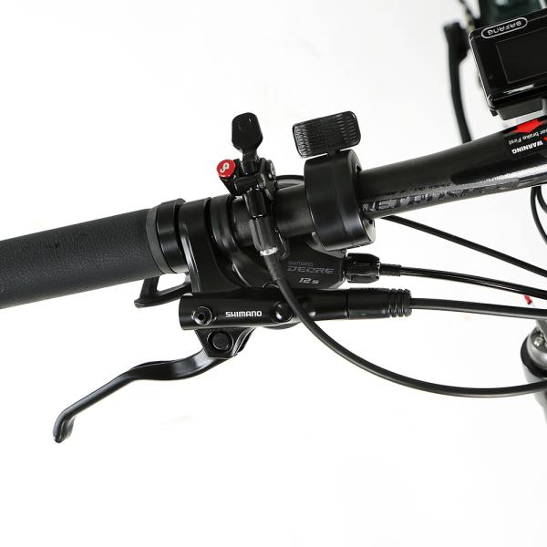 48 В средний привод Углеродные волокна через ось подъемная рама Внутренние кабели Электрический велосипед EM6 Эбики