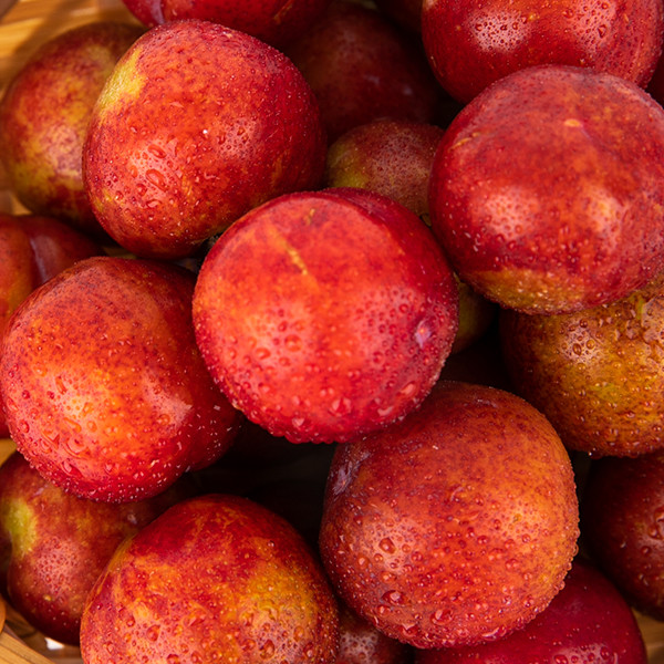 分類しているステンレス鋼のプラムおよび等級分け機械380V/50Hz