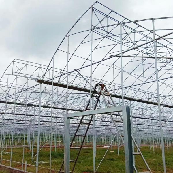 PE Plastic Film Greenhouse Multi Span Sawtooth Turnkey Project