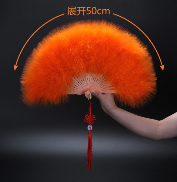 Y-Z Dance Performance Show Art Fan Holiday Party Photography Props Decorative Tassel Feather Big Hand Folding Fan