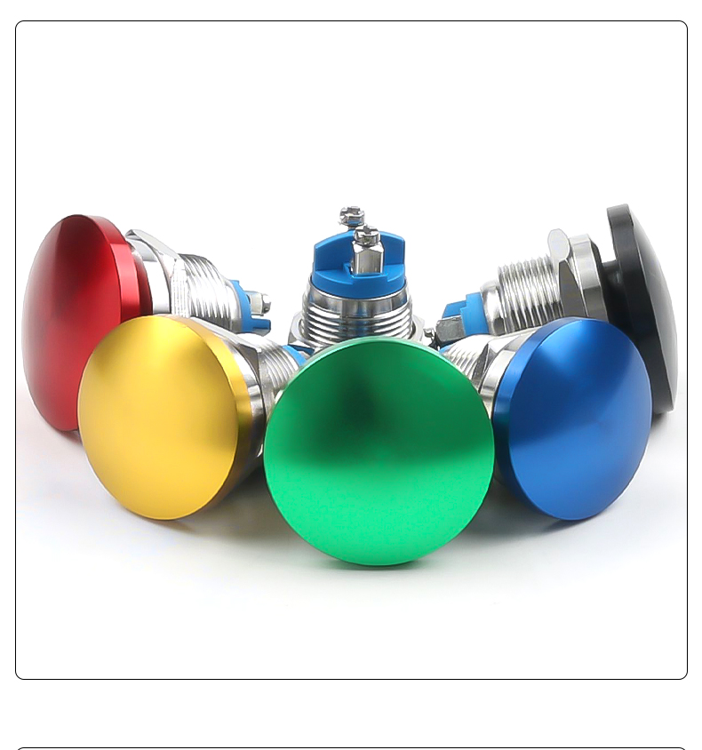16/19/22mm Stainless Steel Self-Resetting Push Button Switch IP65 Level 220V Max Voltage Mushroom Head Screw Foot 1NO Switch