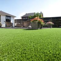 Il est naturel de voir 40mm PE Artificiel de l'herbe de gazon synthétique pour le patio arrière