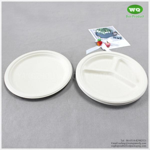 Biodegradable Sugarcane 10 Inch 3-Compartments Plate-HeavyDuty Plate, Natural Disposable Bagasse Plate for Party,Picnic