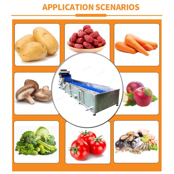 380В линия для мытья овощей и зеленый перец Чили очистительная машина