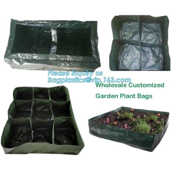 100 дерево тан галлона /200/300 растет сумка 100галлон растут сумка для деревьев завода, овощей растут сумки засаживая сумки растя сумки