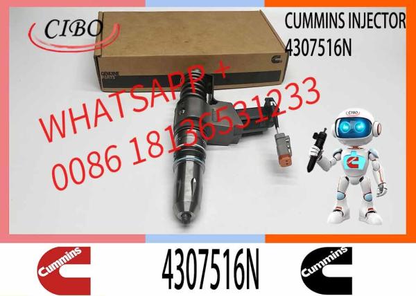 Remanufactured Quality N14 Series Fuel Injector Assy 4307516N Injector Part NO. 3411762 3411767 All On Sale