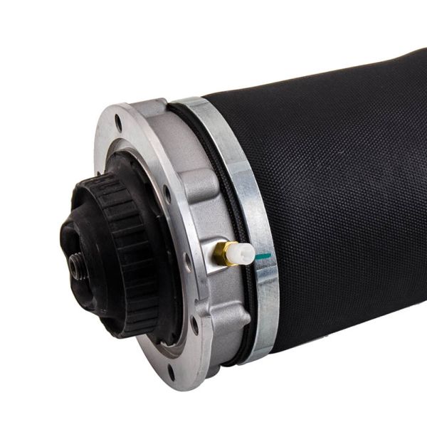 Hot Sell Rear Air Suspension Shock Absorber Reart Left and Right Shock Absorbers for Audi Auto Parts