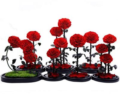 Preserved Everlasting Real Rose Flower in Glass Dome  Preserved Flowers  Christmas gift