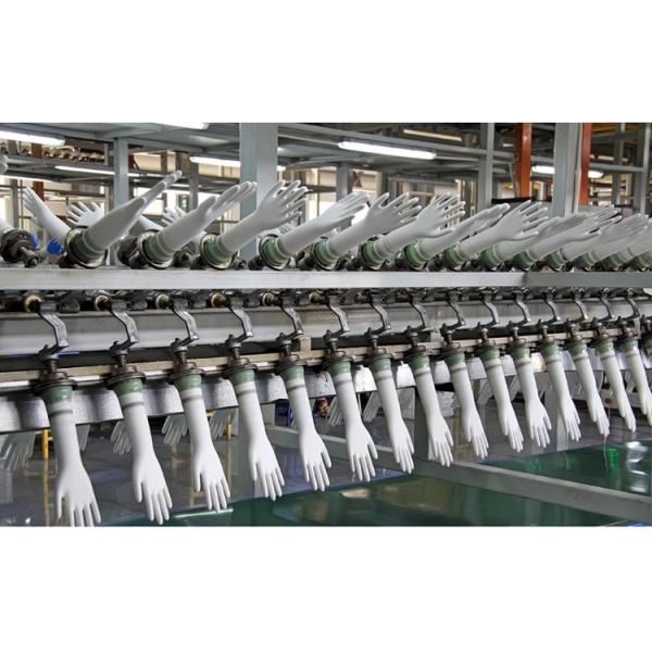 Food Grade Powder Free Disposable Vinyl Gloves For Foodservice ISO13485 Approved